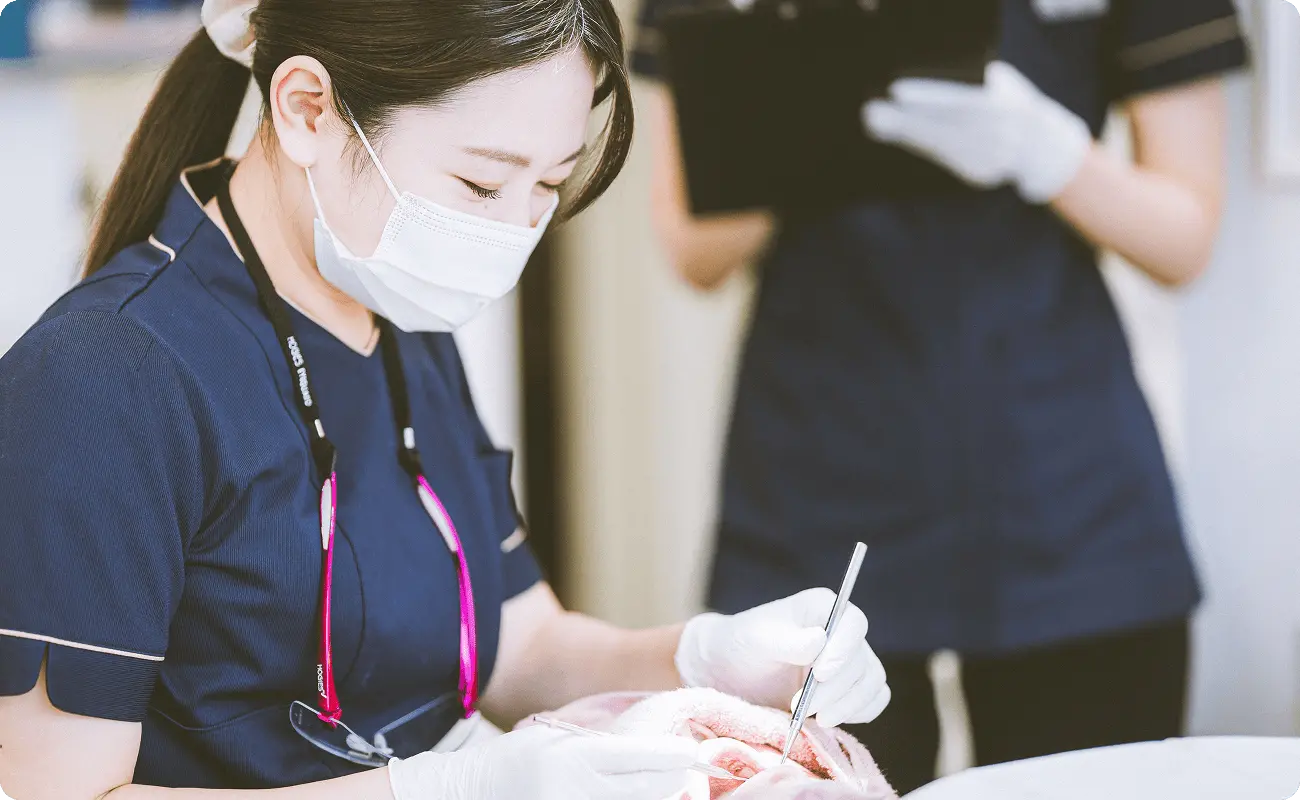 しっかり時間をかけた定期検診/メインテナンス